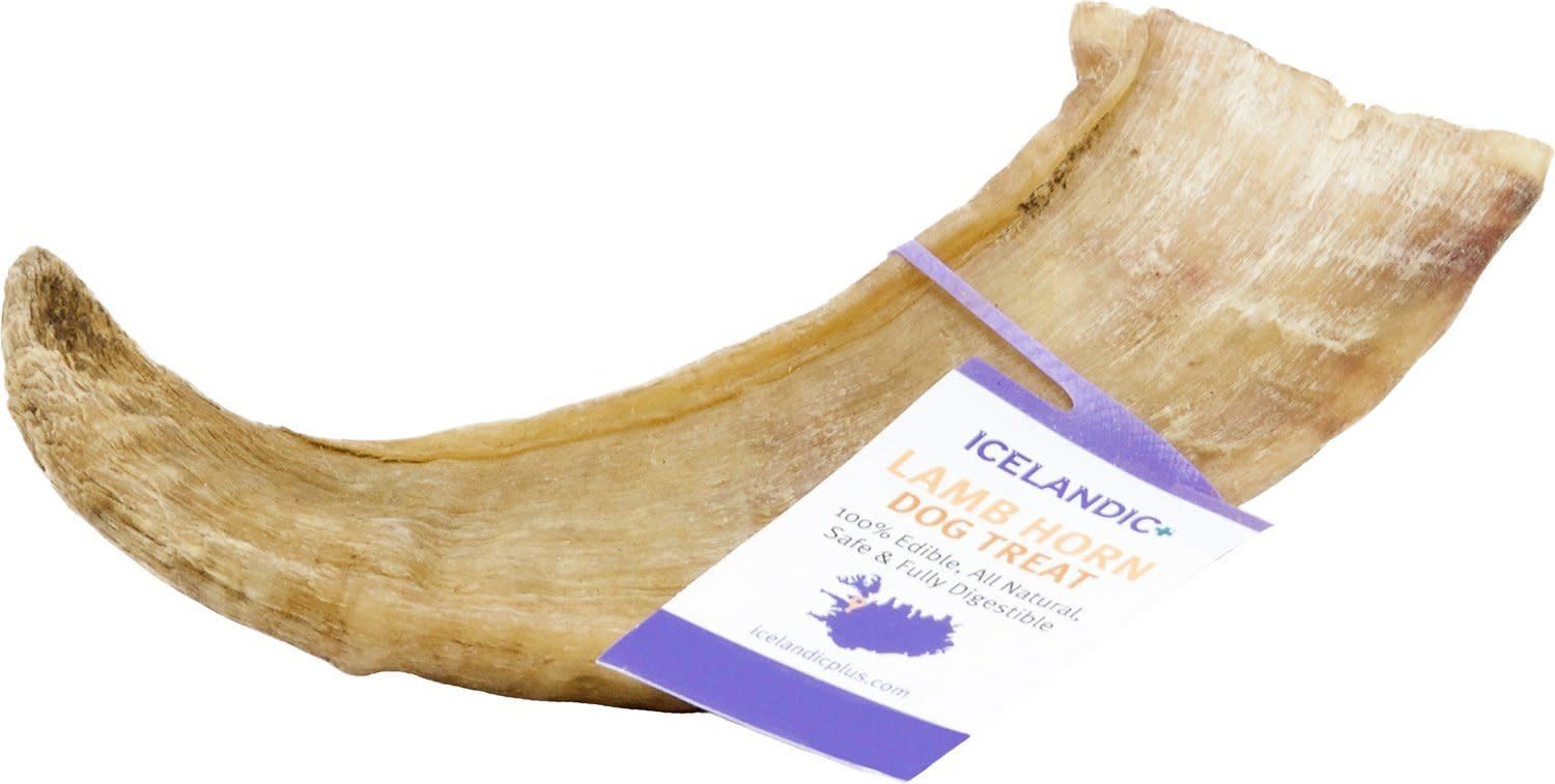 Icelandic+ Large Lamb Horn Dog Chew Treat