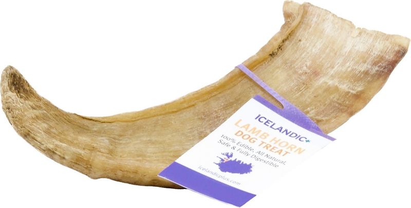 Icelandic+ Large Lamb Horn Dog Chew Treat