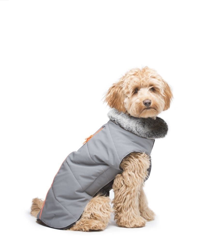 Dog Gone Smart Orange Meteor Tamarack Dog Jacket, Size: 12"