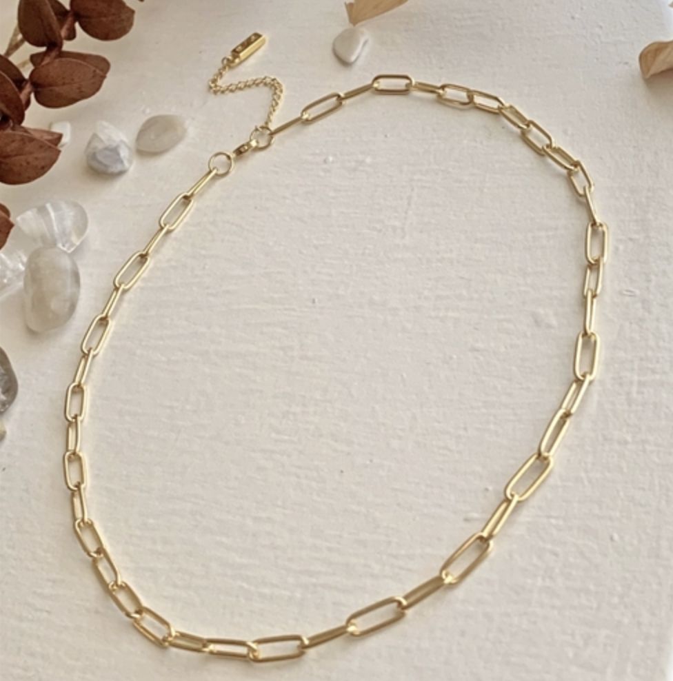 Pika &amp; Bear “Montmartre” Paperclip Chain Necklace In Gold