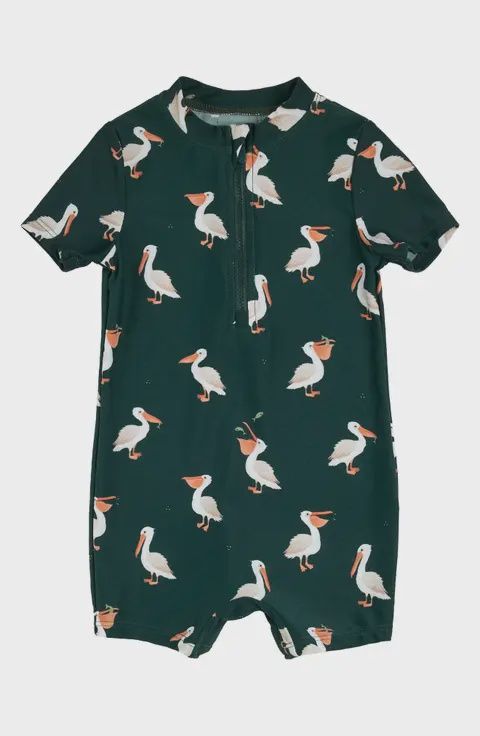 Pelican Swim - Petit Lem