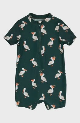 Pelican Swim - Petit Lem