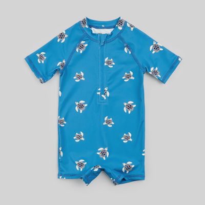 Blue Turtles - Petit Lem