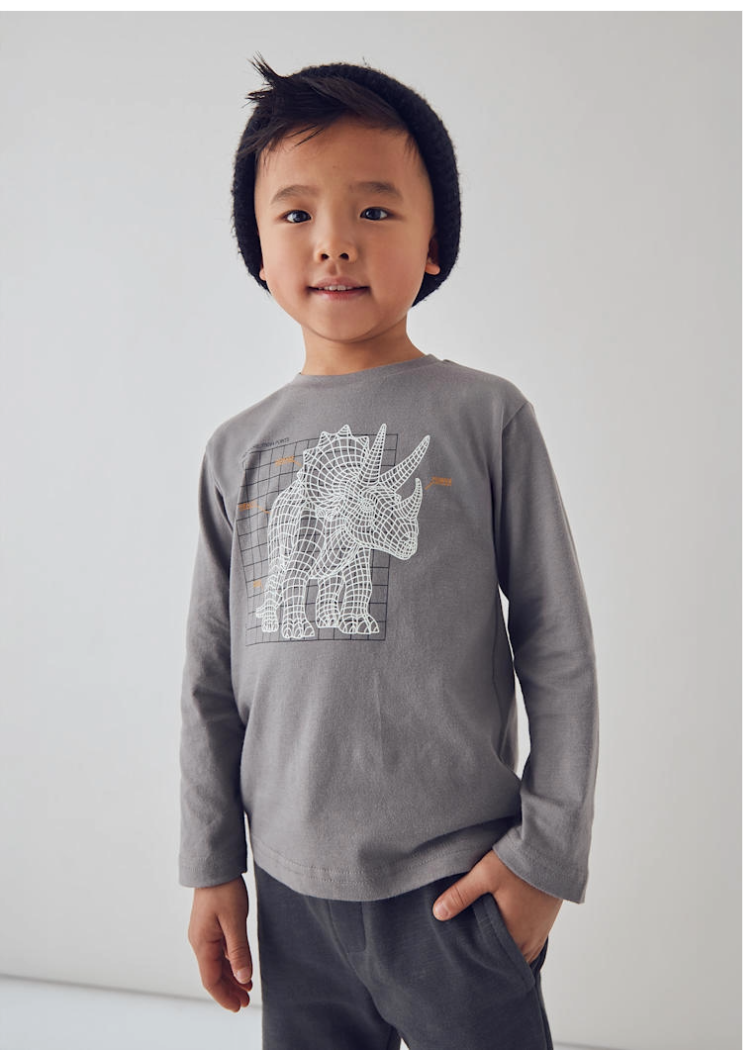 Glow in the Dark Dino Tee - 4088
