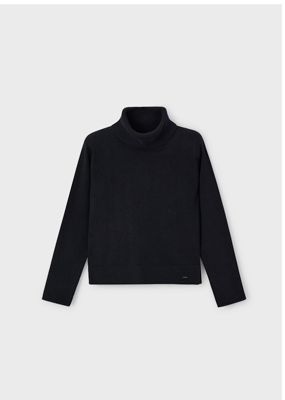 Basic Black Turtleneck - 313