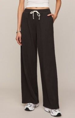 z supply/clubhouse pant/ash black