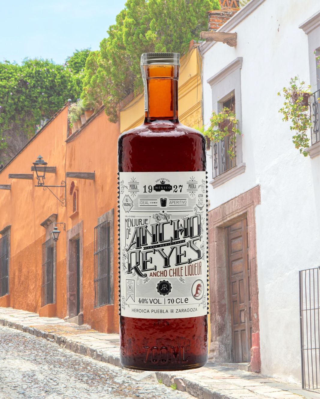 ANCHO REYES CHILE LIQUEUR 750ML 40% ABV