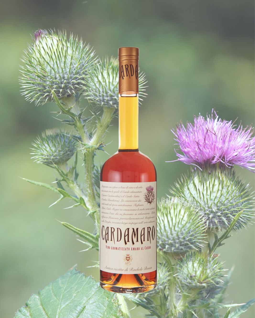 BOSCA TOSTI CARDAMARO VINO AMARO 750ML 17% ABV