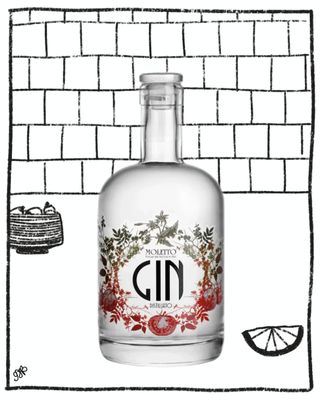 MOLETTO GIN 700ML 43% ABV