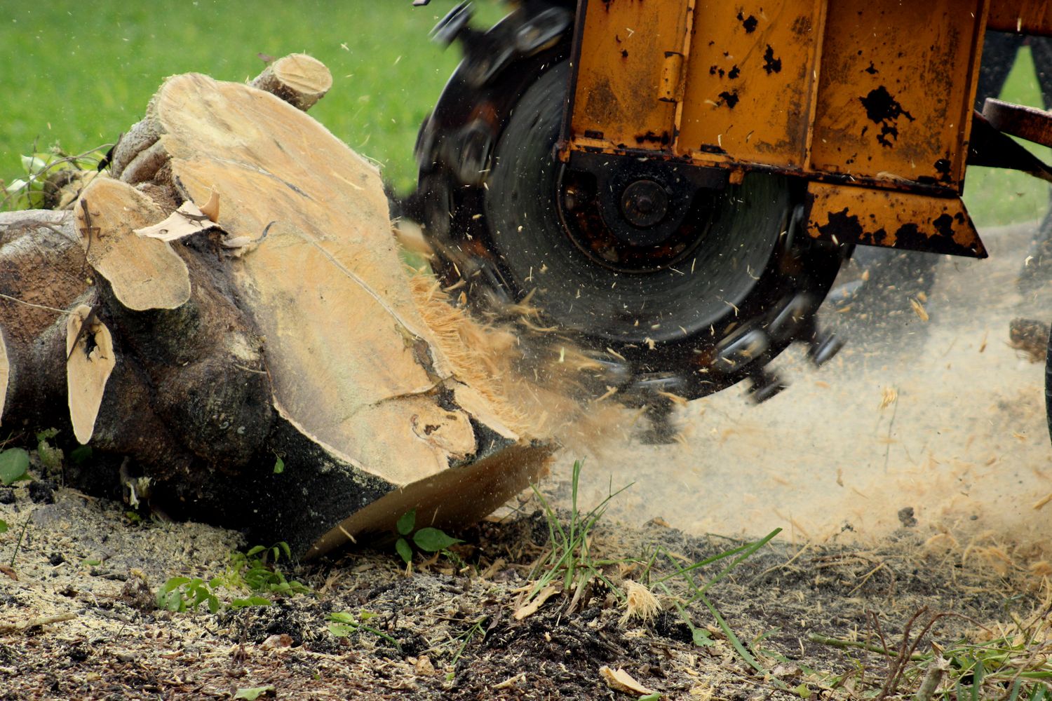 Stump Grinding (Tractor Side Arm) Risk Assessment