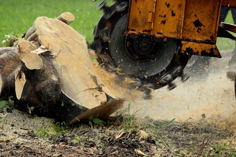 Stump Grinding (Tractor Side Arm) Risk Assessment