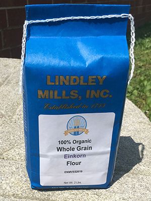 100% Organic Whole Grain EINKORN Flour WEN2