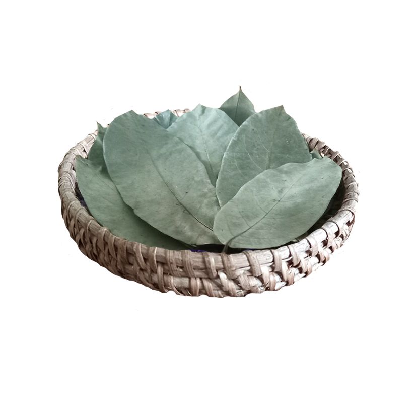 ORGANIC DRIED SOURSOP LEAVES 1kg