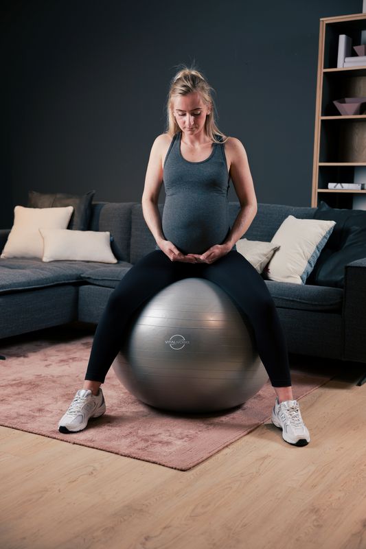 Gymnastikball GRAU Ø 65 cm