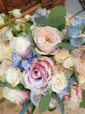 Strauss &#39;Pastelltraum&#39;