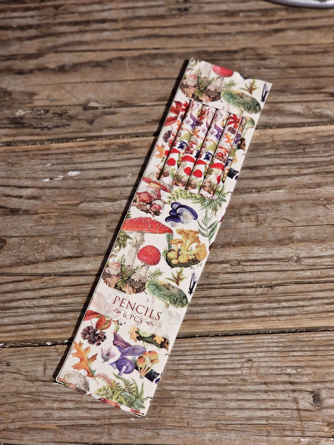 Bleistift-Set &quot;Waldpilze&quot;