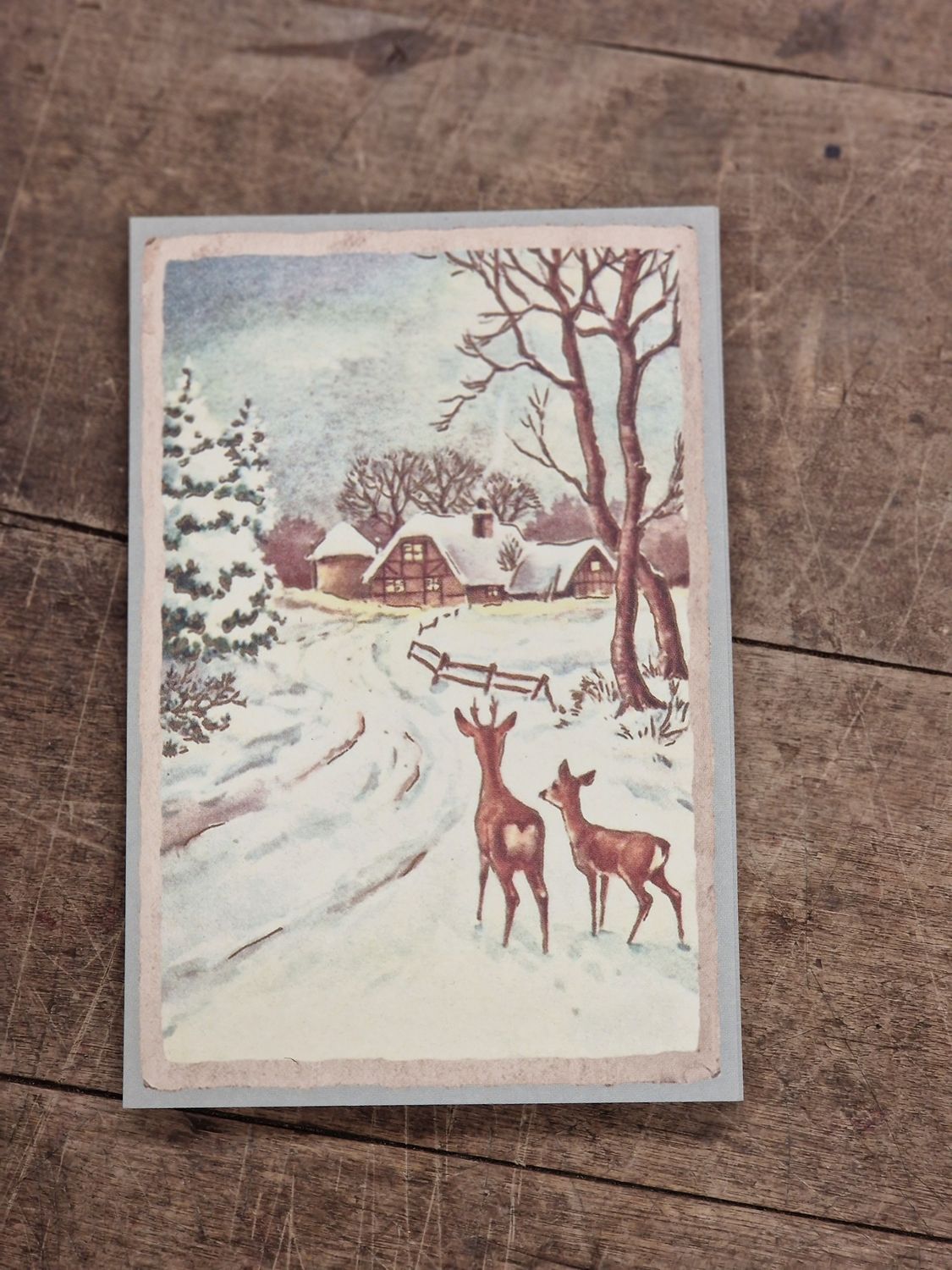 Postkarte "Neugierige Rehe"
