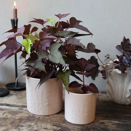 Übertopf "Fayence" rosa. Durchmesser 10.5 cm /Höhe 10.5 cm