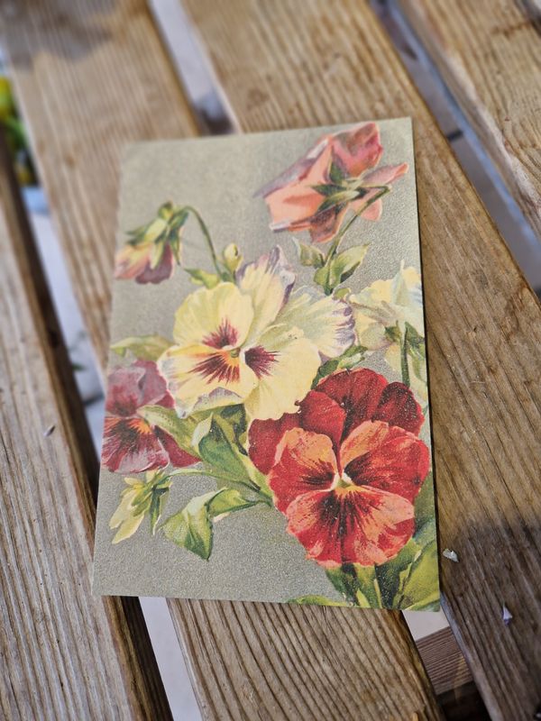 Postkarte "Vintage Viola"