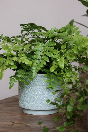 Übertopf "Fayence" Mint 13cm x 13cm
