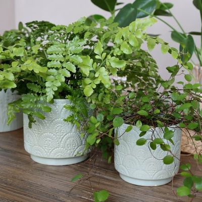 Übertopf "Fayence" Mint 13cm x 13cm