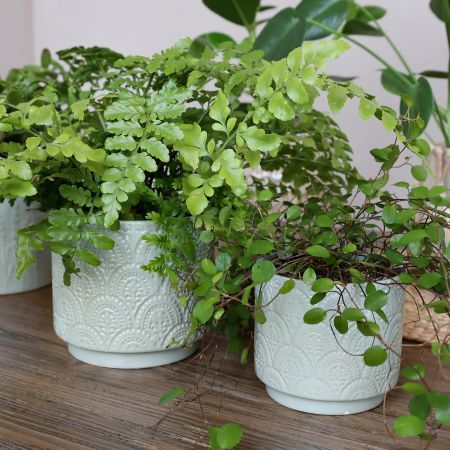 Übertopf "Fayence" Mint 10.5 x 10.5