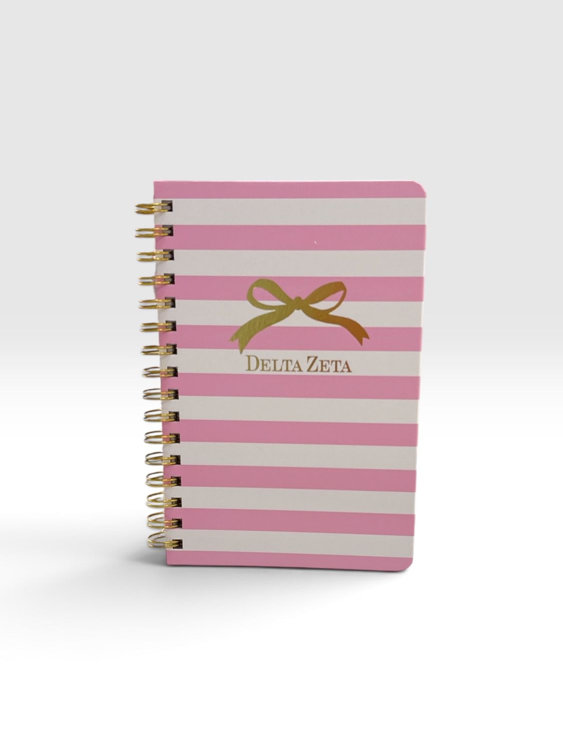 Delta Zeta spiral notebook AD