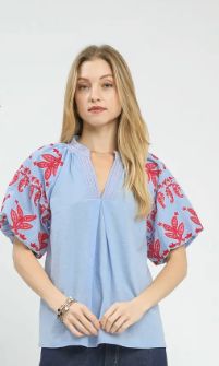 Light Blue Top With Red Embroidered Sleeve