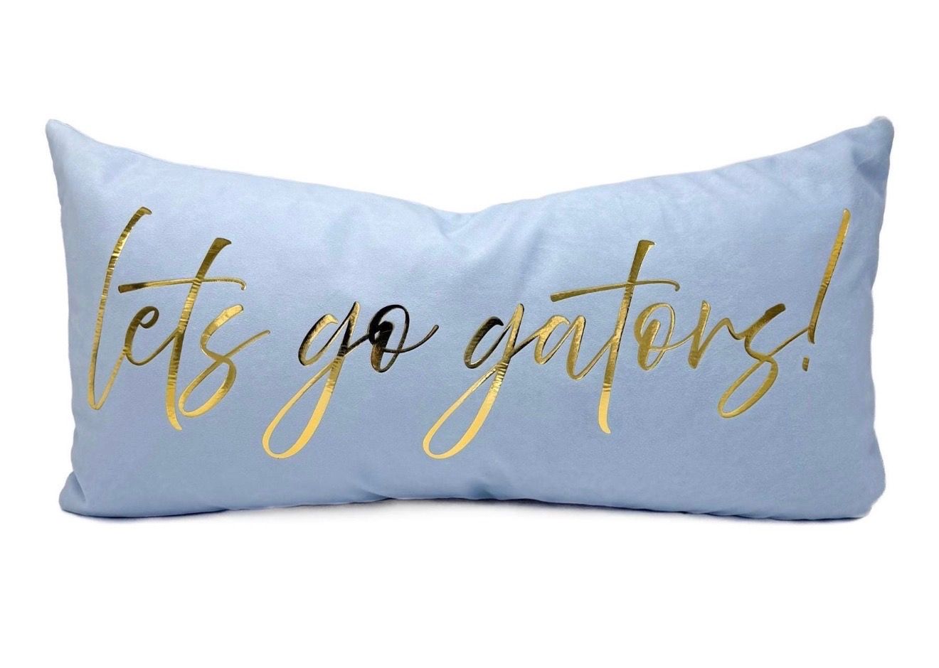 Let’s Go Alligators Pillow on Powder Blue Velvet