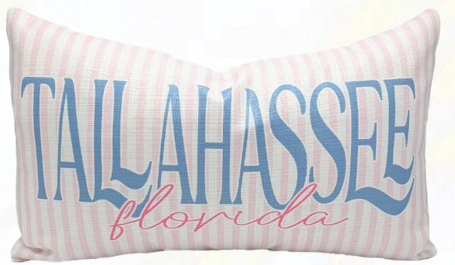 Pink Pinstripe Tallahassee Florida Velvet Pillow