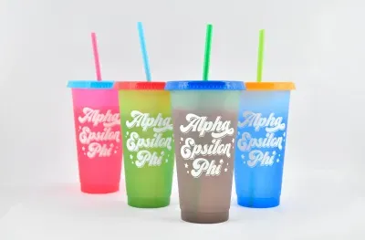 Alpha Epsilon Phi color changing cup