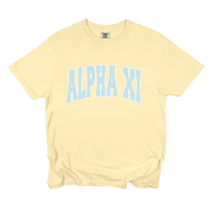 Alpha Xi Delta tee shirt S