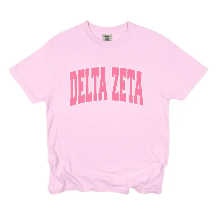 Delta Zeta tee shirt S