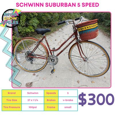 Schwinn Suburban 5-speed market bike.