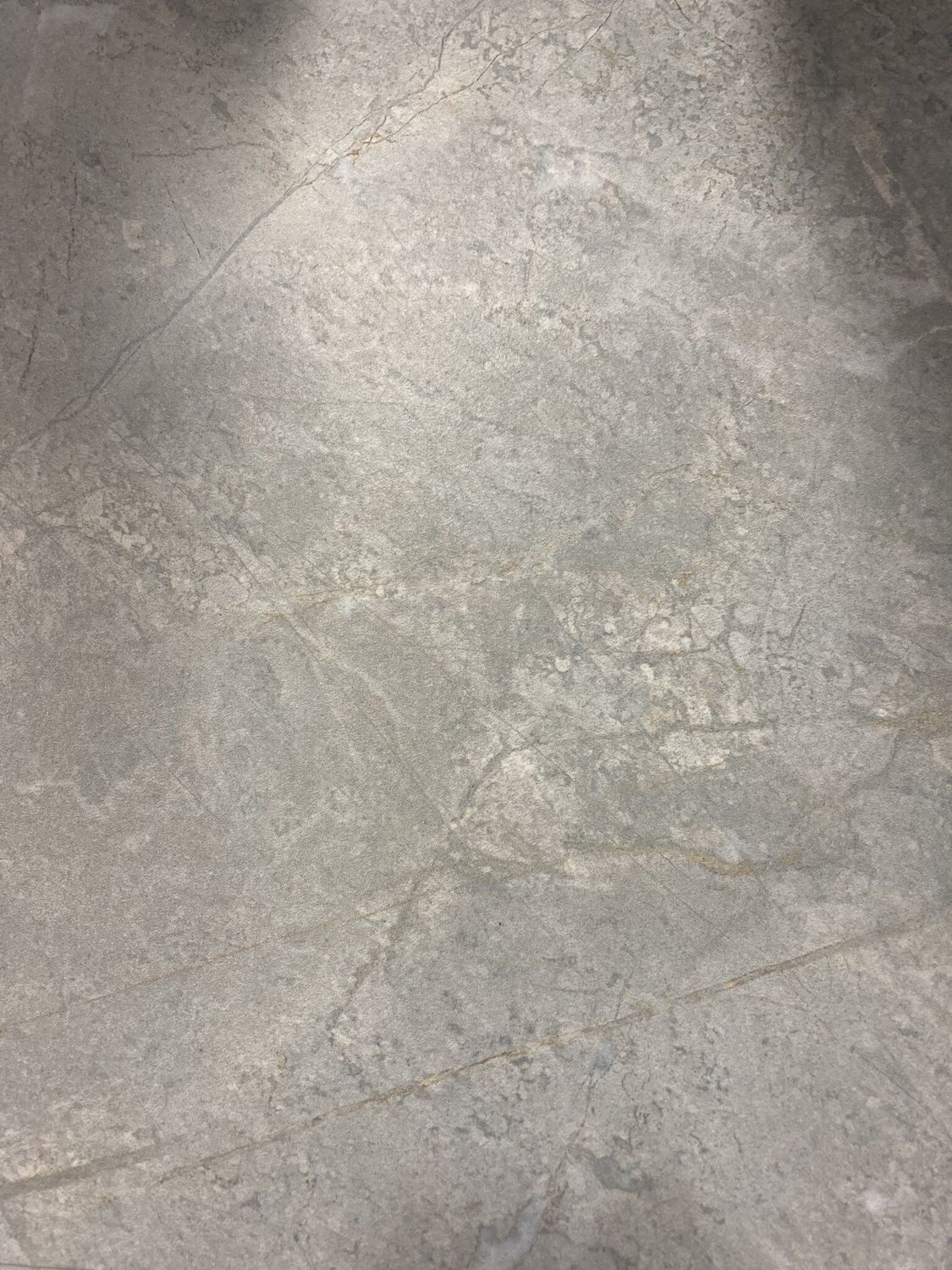 NA02 Fior Di Bosco Porcelain Tile 12x24