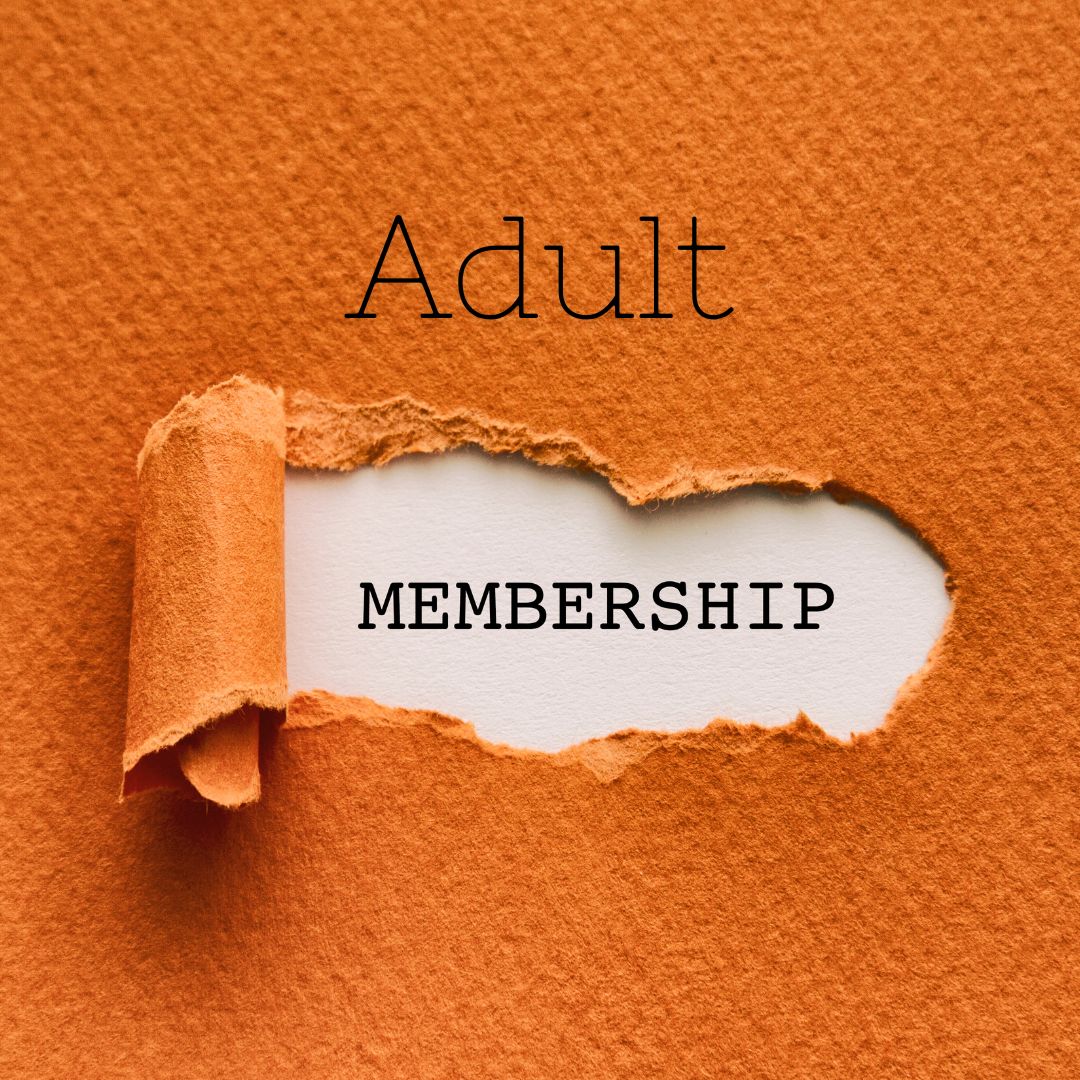 Adult (18+) - Museum Membership