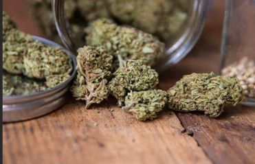 Fleurs CBD