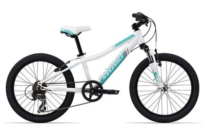 cannondale kids bikes