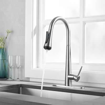 4 Mode Kitchen Faucet w/ Sprayer Brushed Nickel