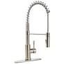 Spring Coil Pull Down Kitchen Faucet