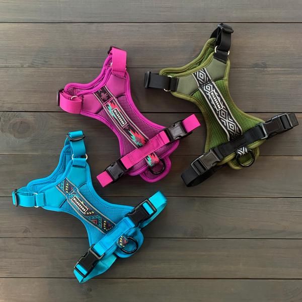 Harness, Color: Teal, Size: Small