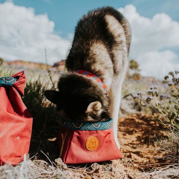 Backpacking Dog Bowl