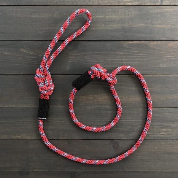 Slip Lead Dog Leash