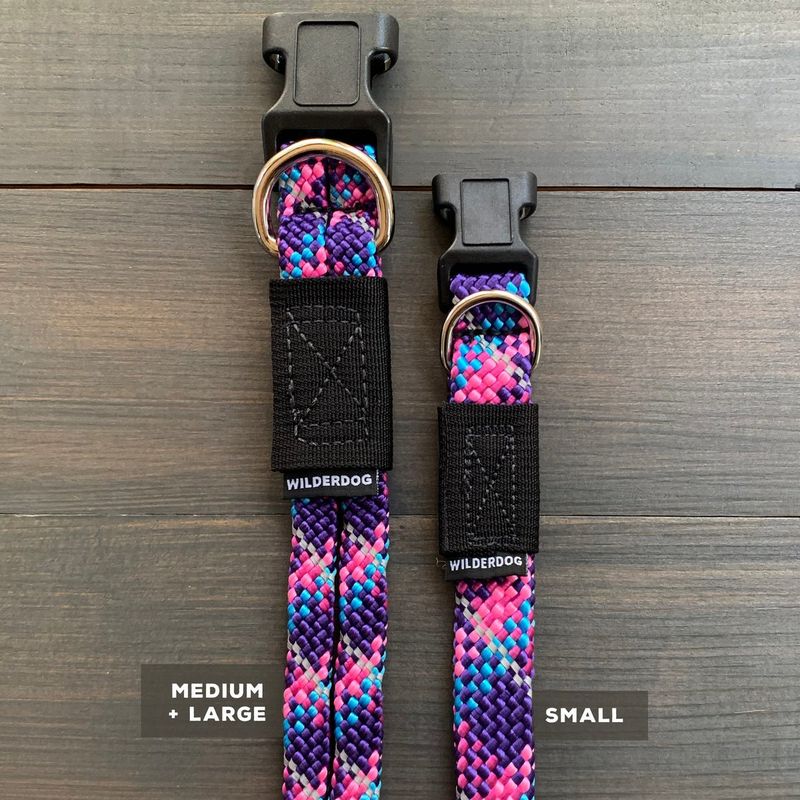 Reflective Rope Dog Collar