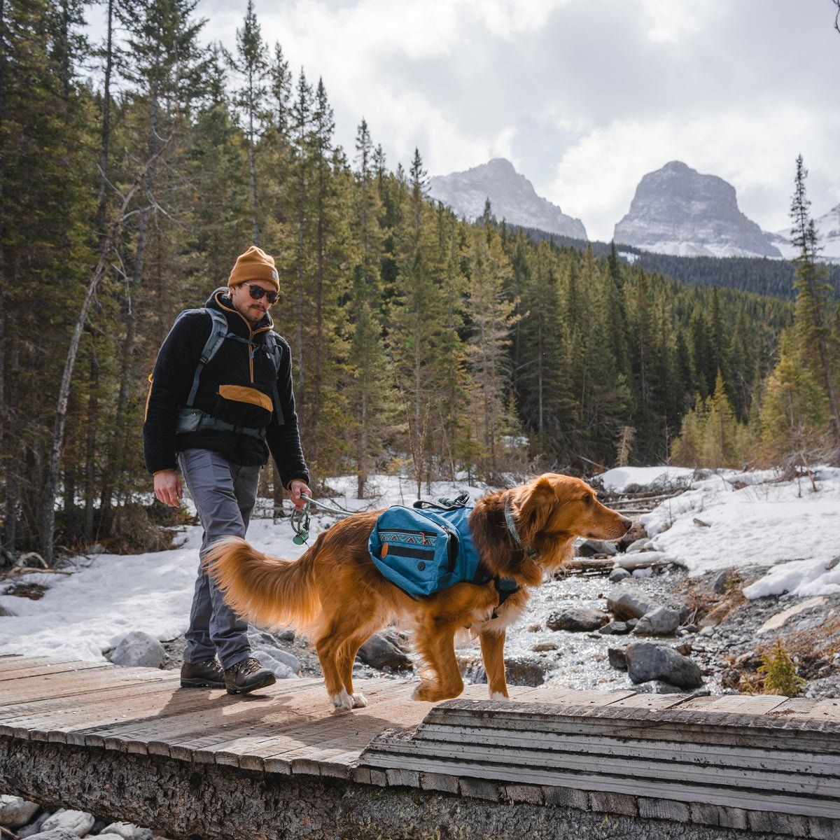 Dog Backpack, Color: Pacific Blue, Size: Large