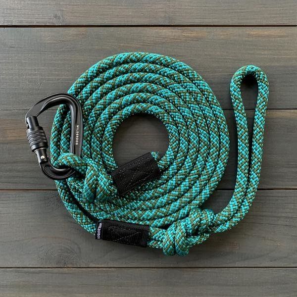 Large Carabiner Dog Leash, Color: Cascade, Length: 5 ft