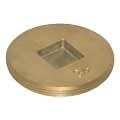 4&quot; BRASS CLEANOUT PLUG