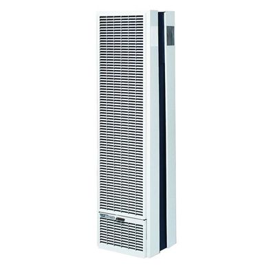 Williams Double Sided 50,000 BTU/hr Monterey Top-Vent Gravity Wall Furnace Natural Gas Heater