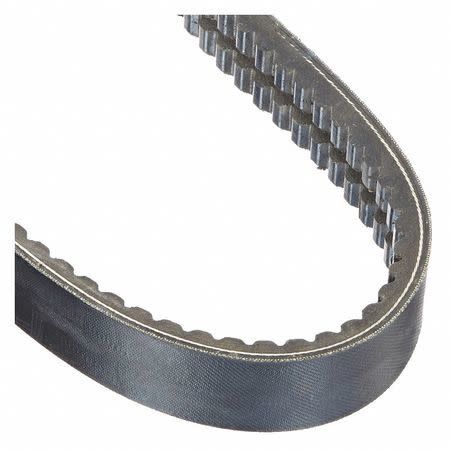 B-52 BELT ($32.99 each)