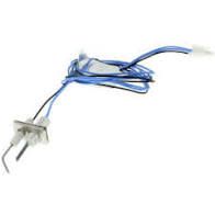 Ignitor Flame Rod Smart Valve